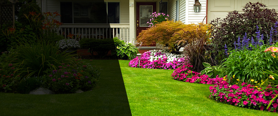 Philadelphia Landscapers
